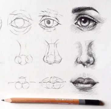 drawinglessions https://stage.vijayfineartsacademy.in/wp-content/uploads/2023/03/drawinglessions.jpg